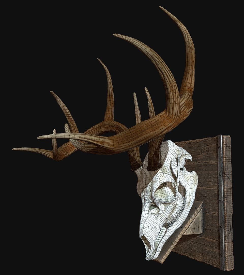 Deer Antler  Low-poly 3D model_8