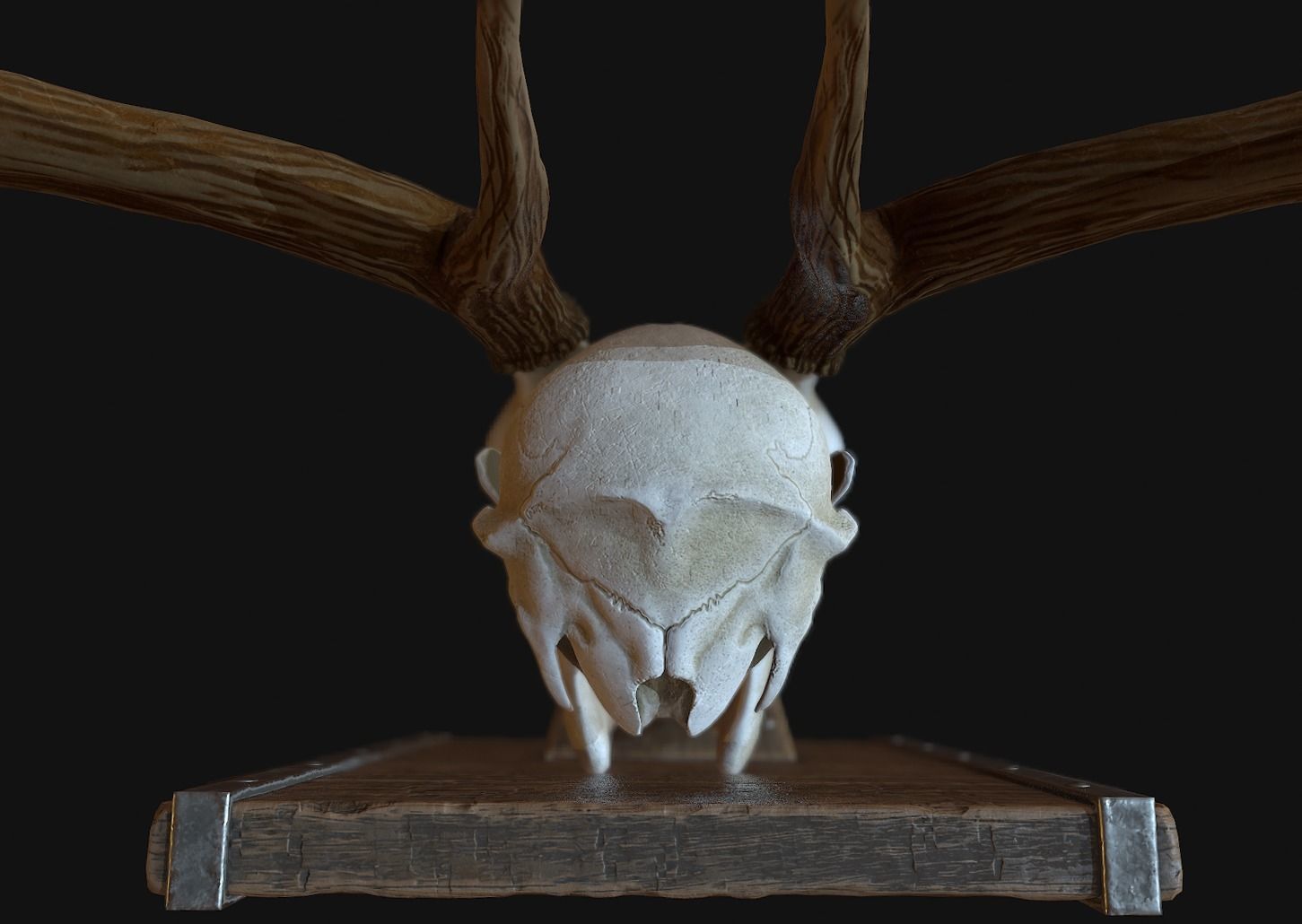 Deer Antler  Low-poly 3D model_6