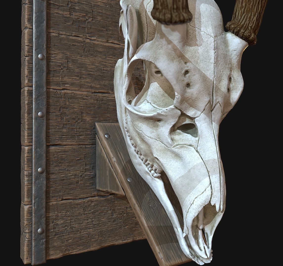 Deer Antler  Low-poly 3D model_15