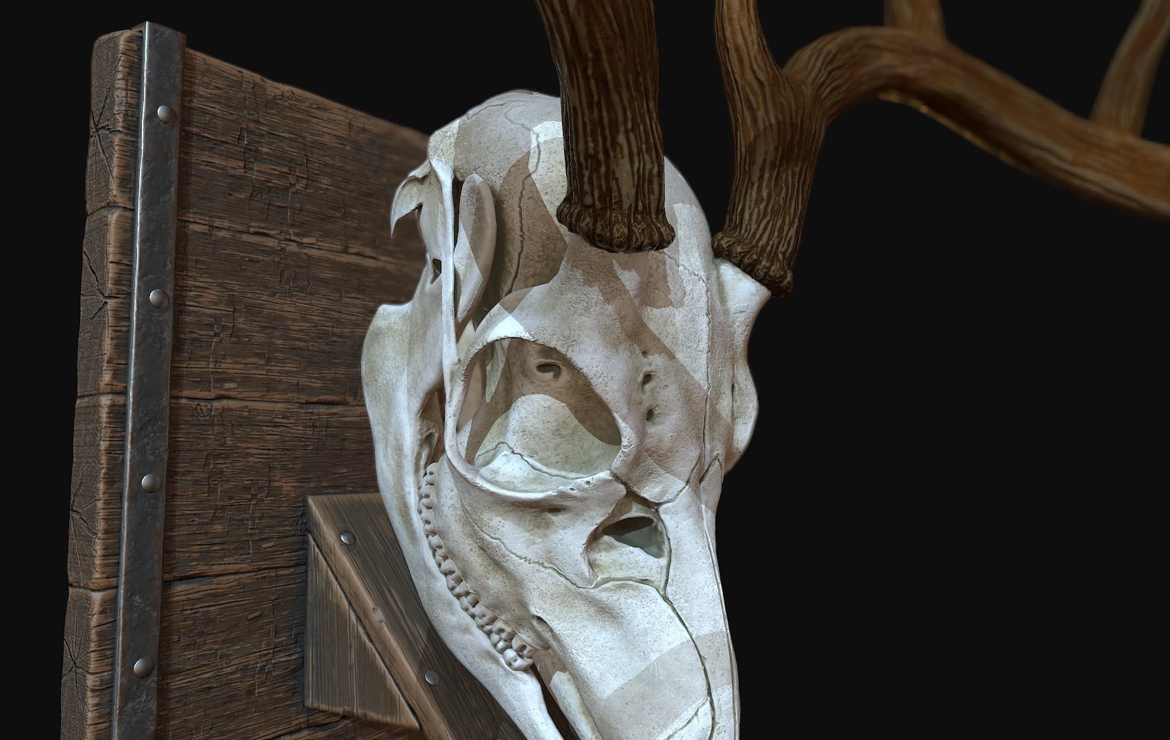Deer Antler  Low-poly 3D model_13