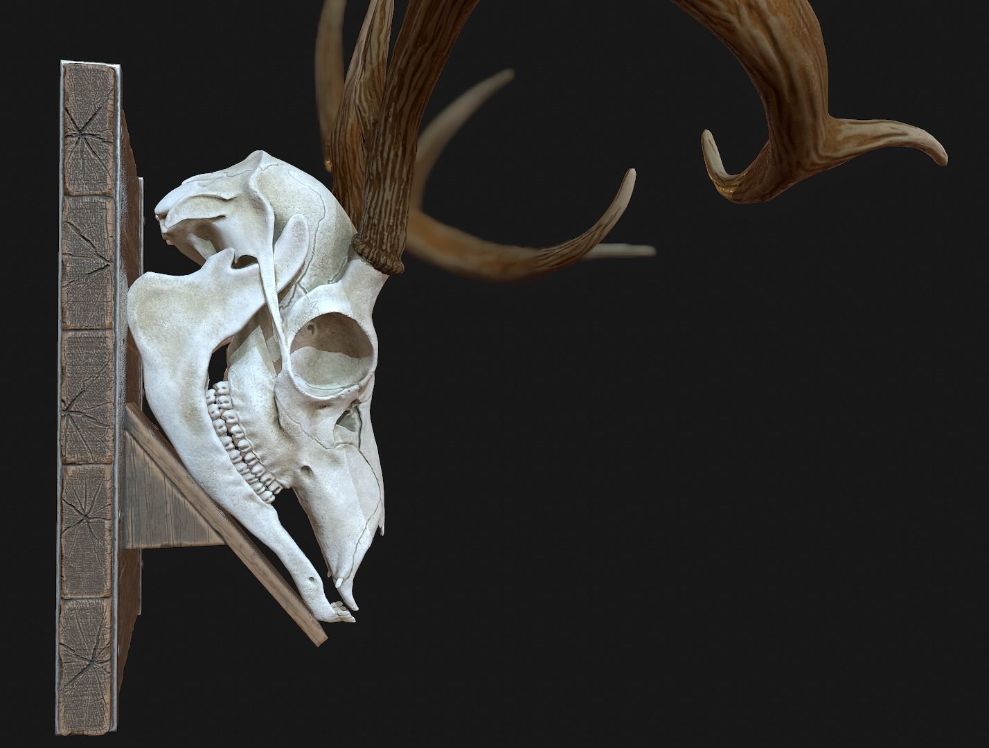 Deer Antler  Low-poly 3D model_3