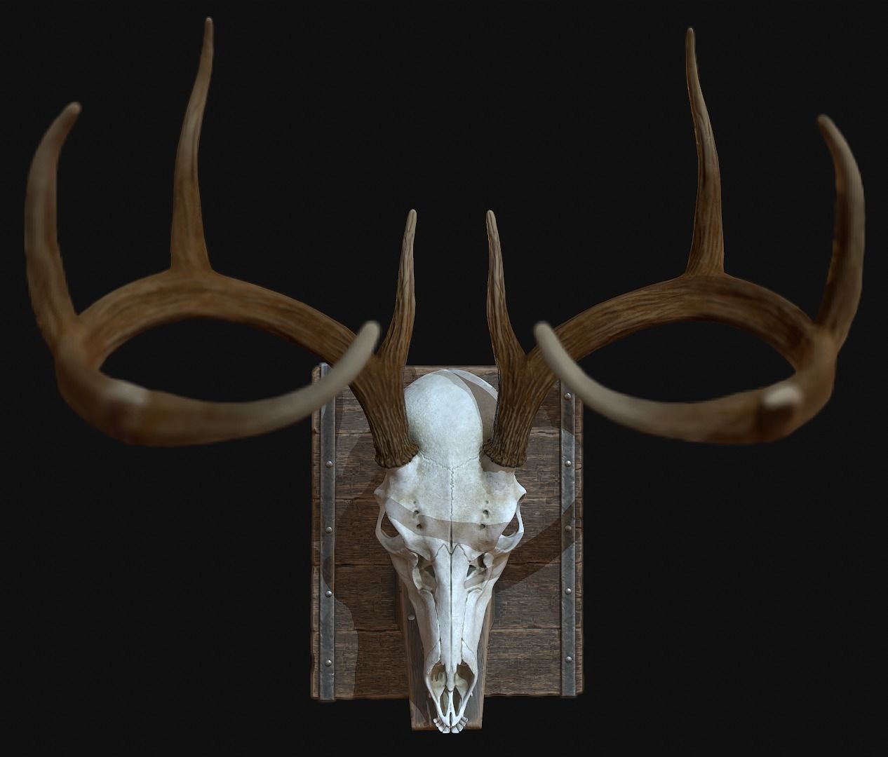 Deer Antler  Low-poly 3D model_1