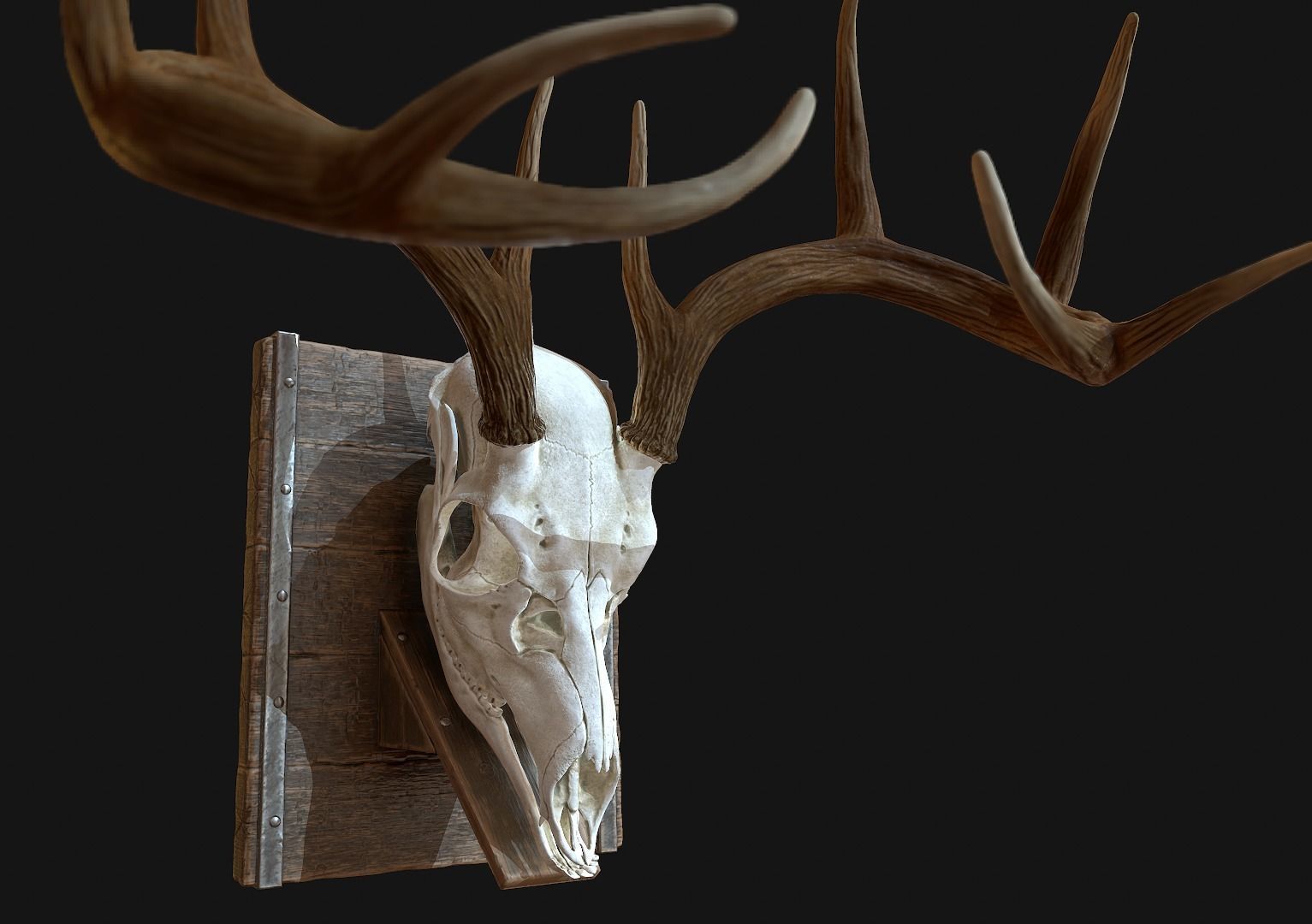 Deer Antler  Low-poly 3D model_2