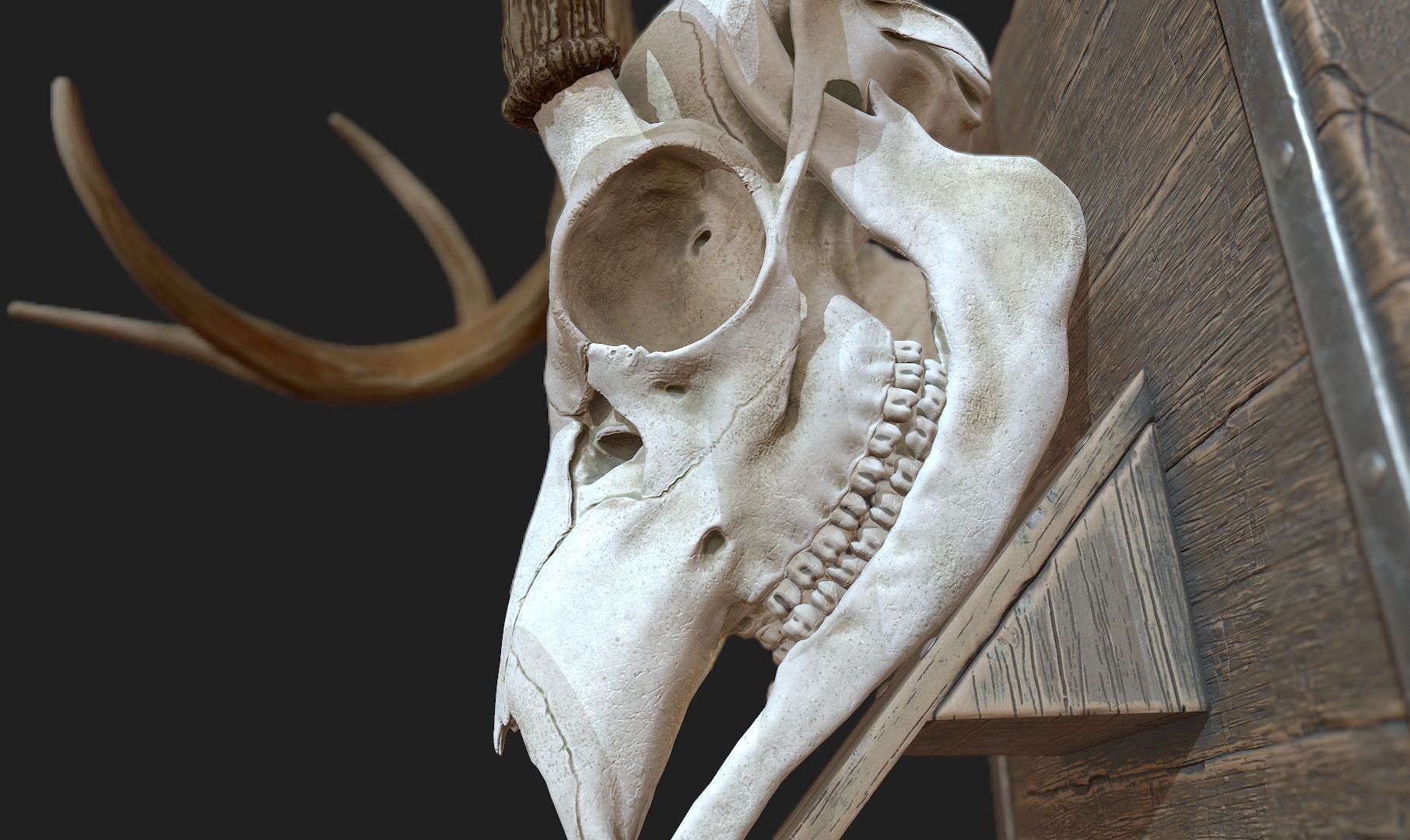 Deer Antler  Low-poly 3D model_12