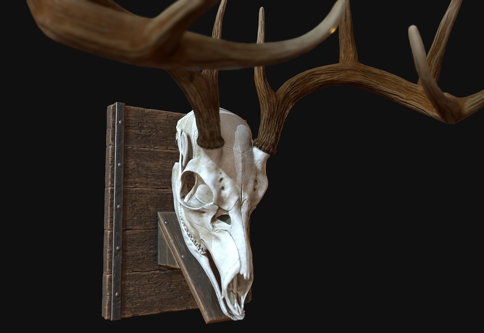 Deer Antler  Low-poly 3D model_5