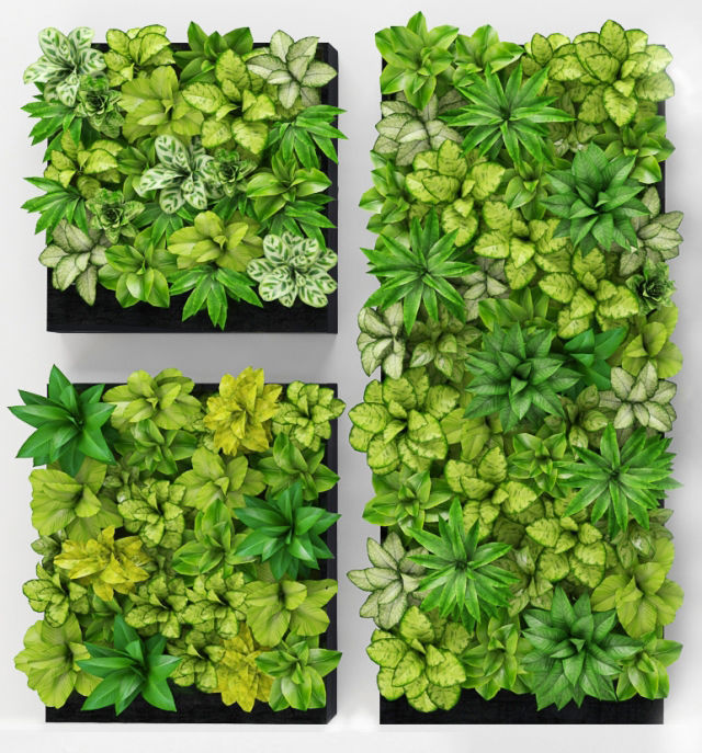 Green wall 01 3D model_1