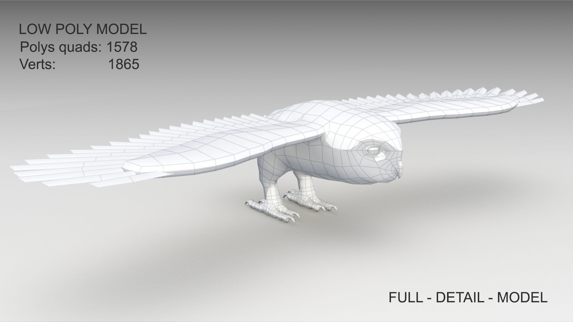 Snowy Owl Low-poly 3D model_12