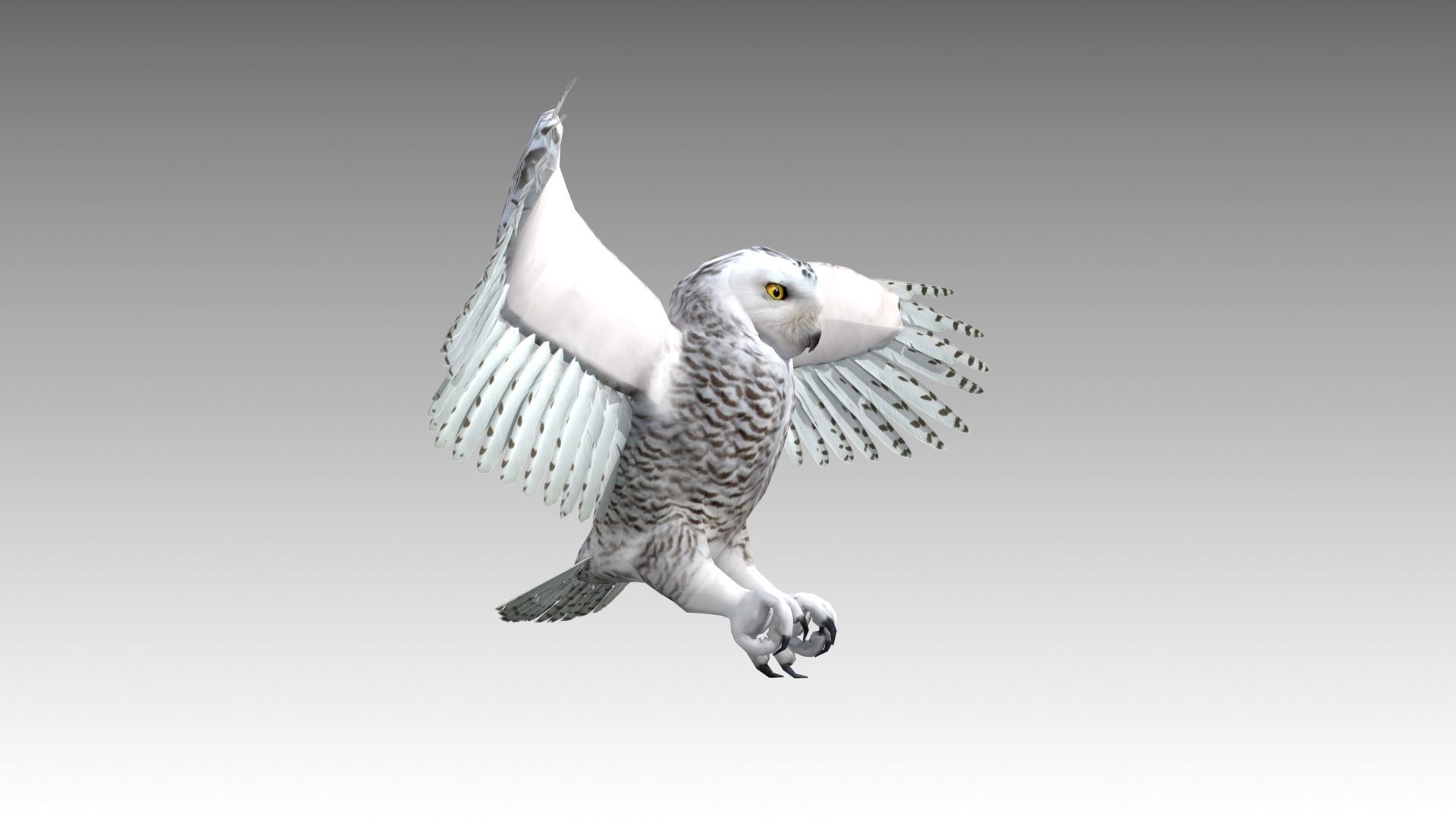 Snowy Owl Low-poly 3D model_7
