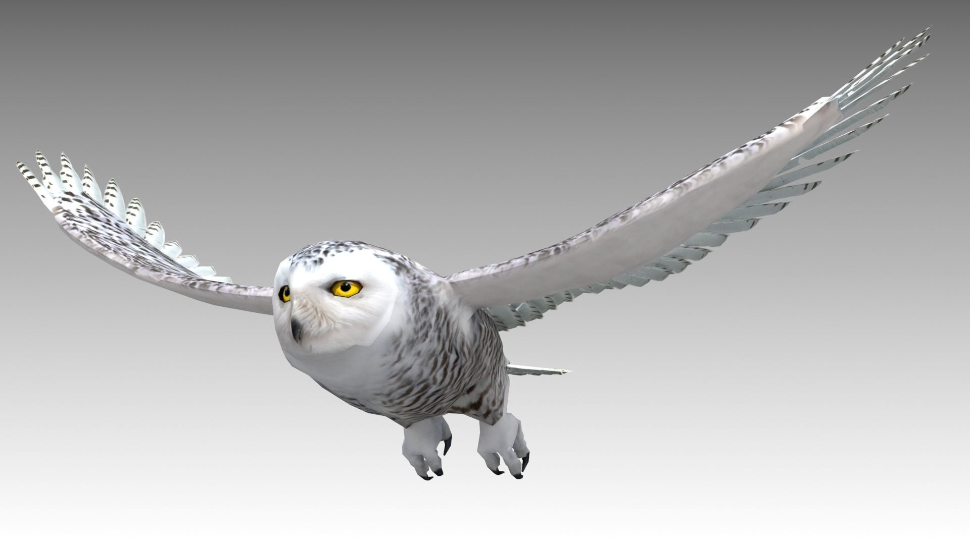 Snowy Owl Low-poly 3D model_9