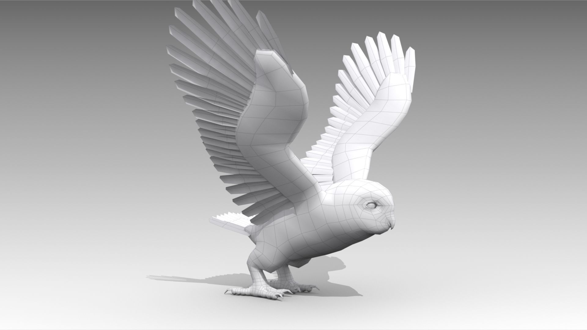 Snowy Owl Low-poly 3D model_13
