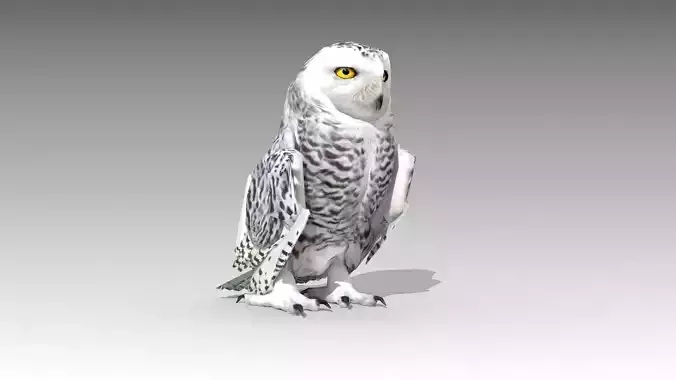 Snowy Owl Low-poly 3D model