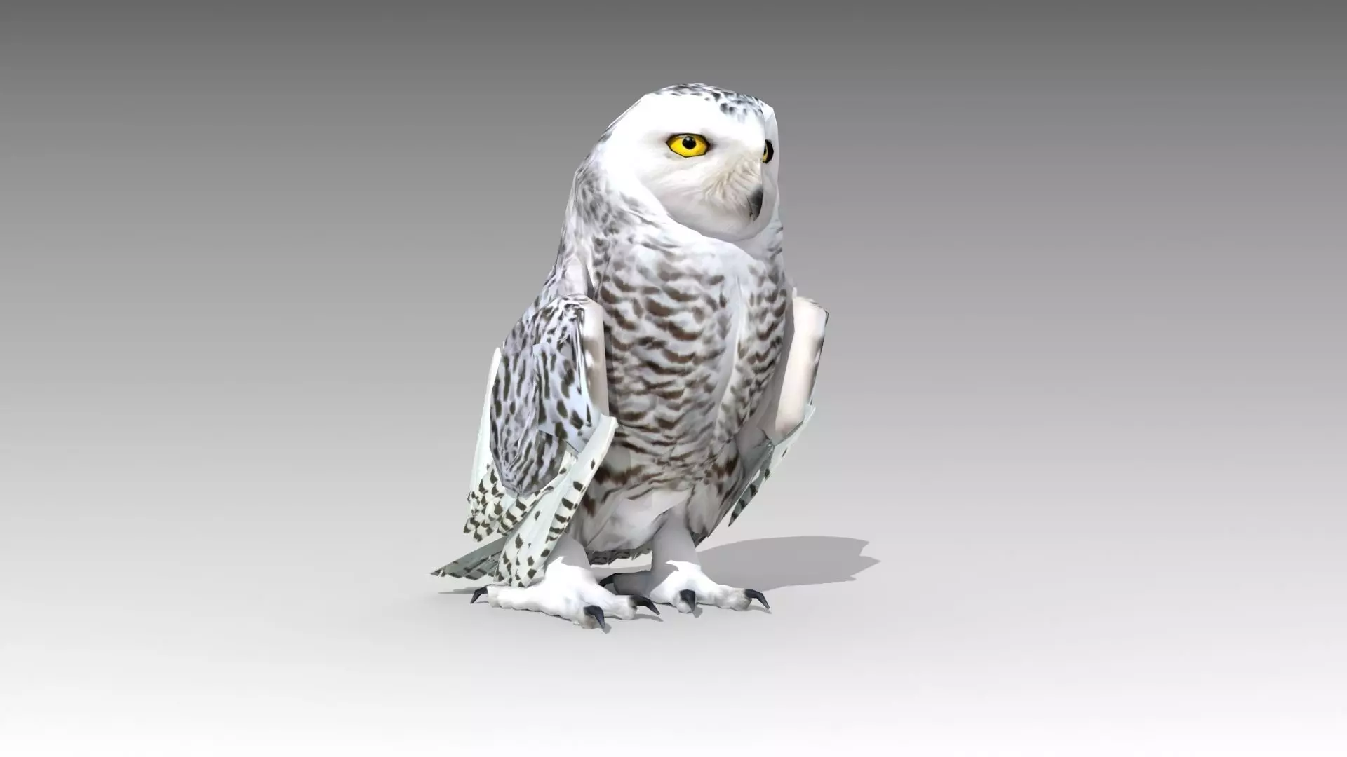 Snowy Owl Low-poly 3D model_0