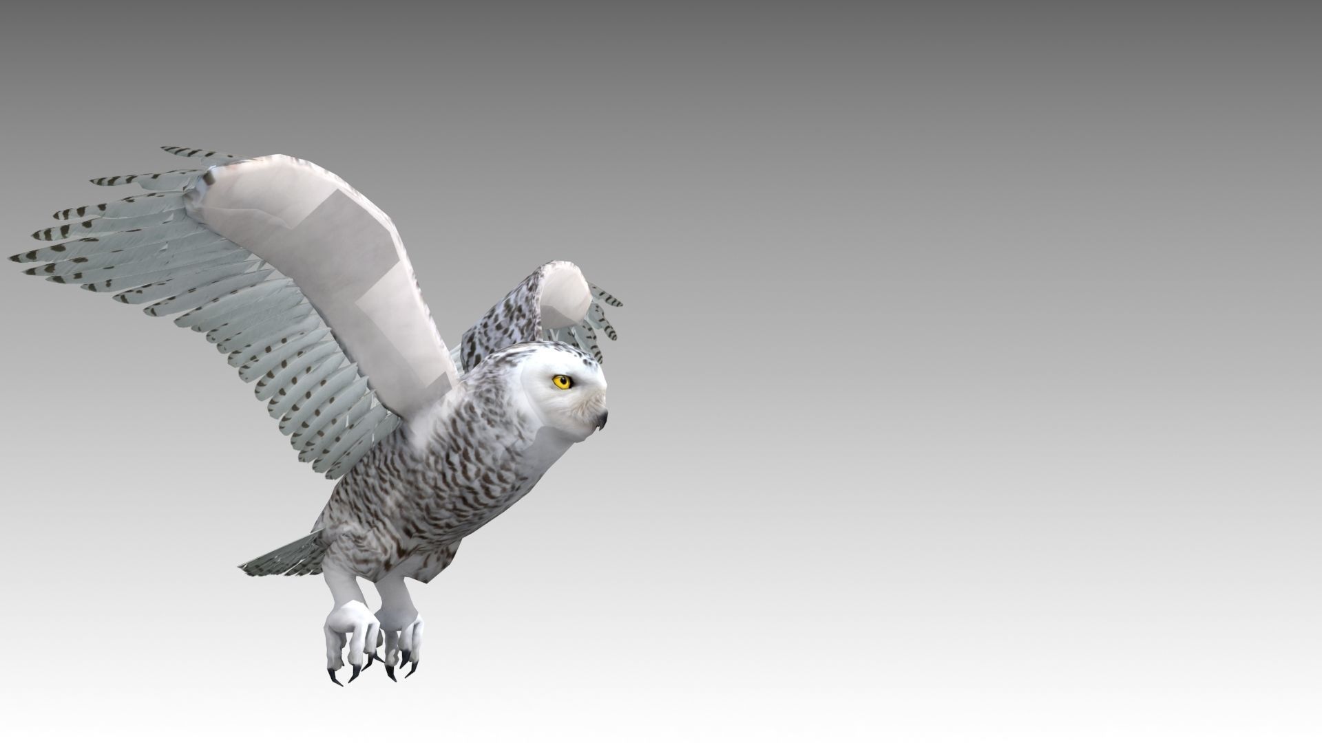 Snowy Owl Low-poly 3D model_5