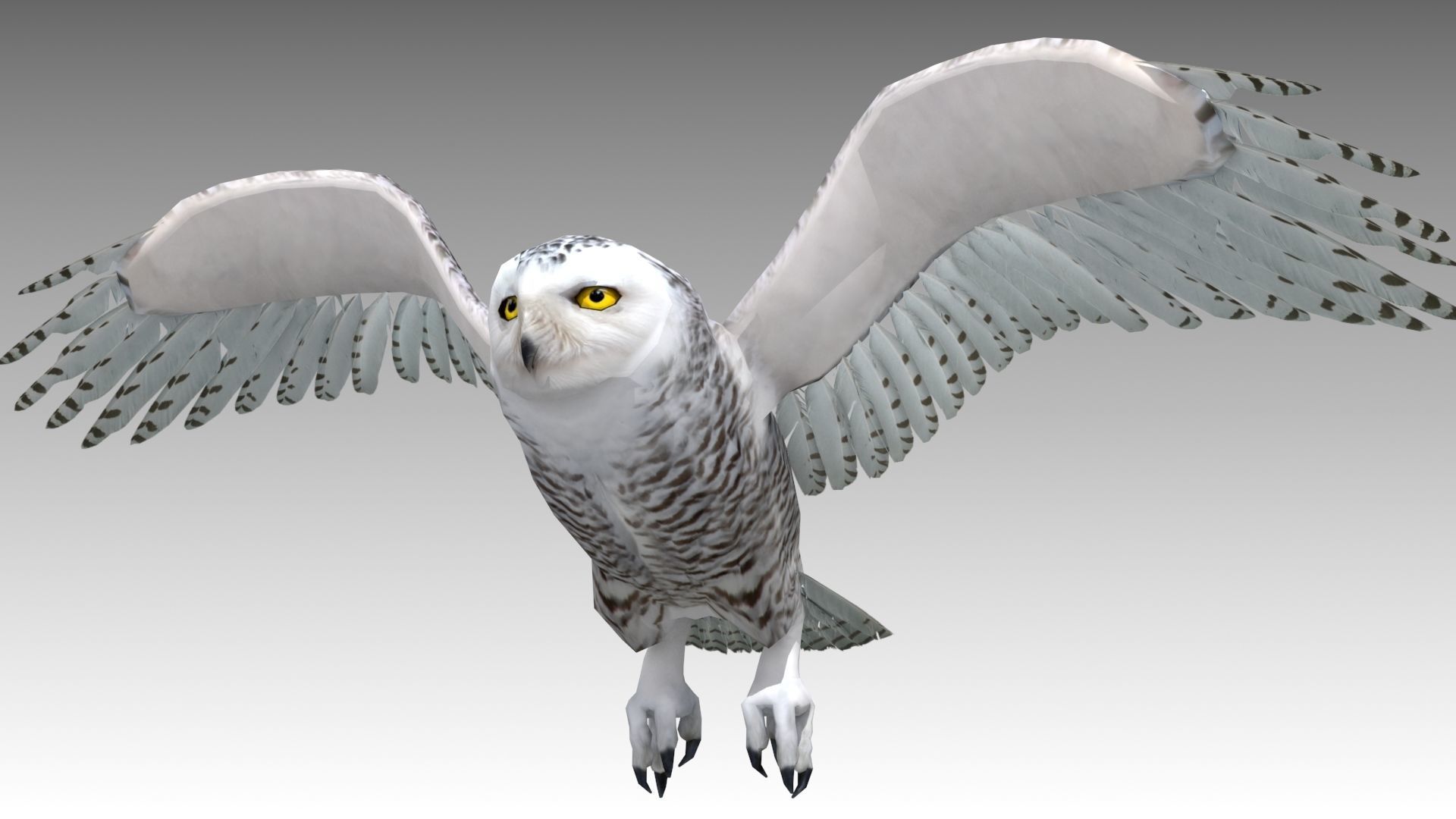 Snowy Owl Low-poly 3D model_10