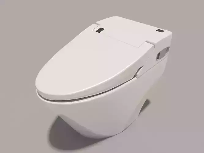 Toilet Bowl with Bidet