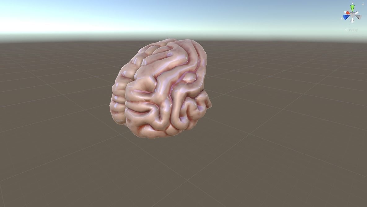 HUMAN BRAIN 3D model_6
