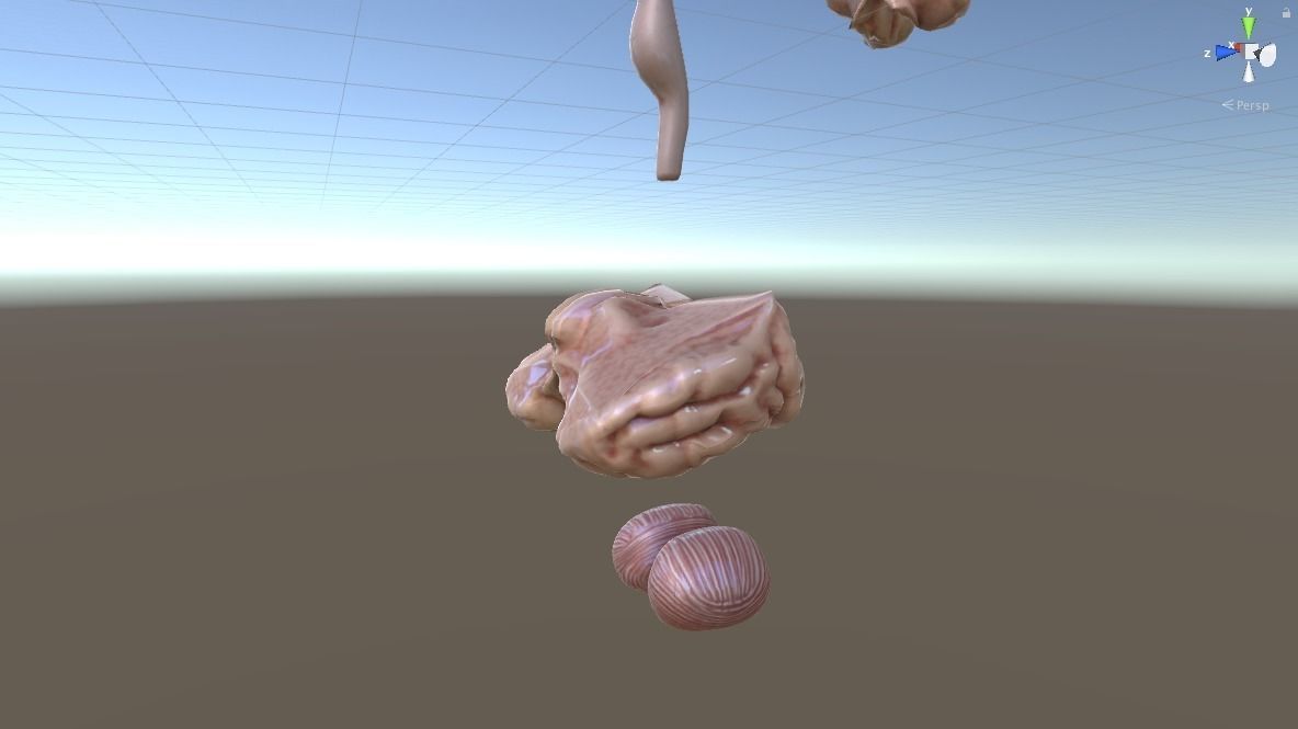 HUMAN BRAIN 3D model_7