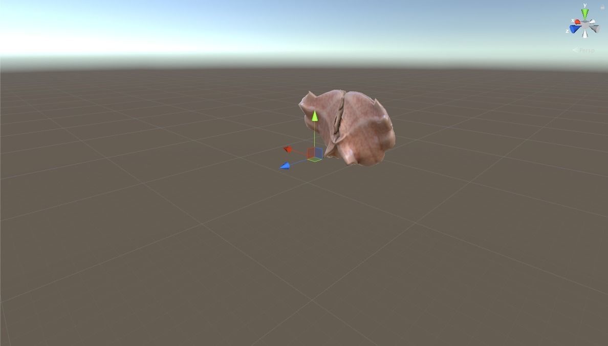 HUMAN BRAIN 3D model_4