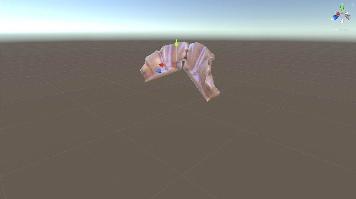 HUMAN BRAIN 3D model_5