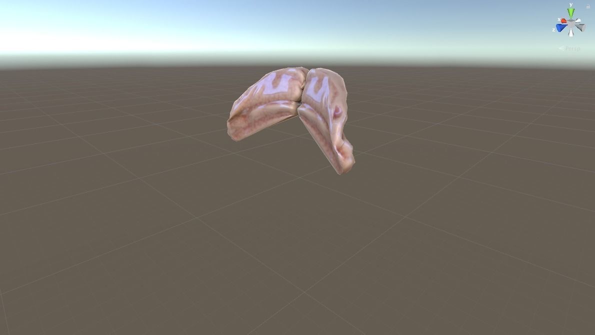 HUMAN BRAIN 3D model_3