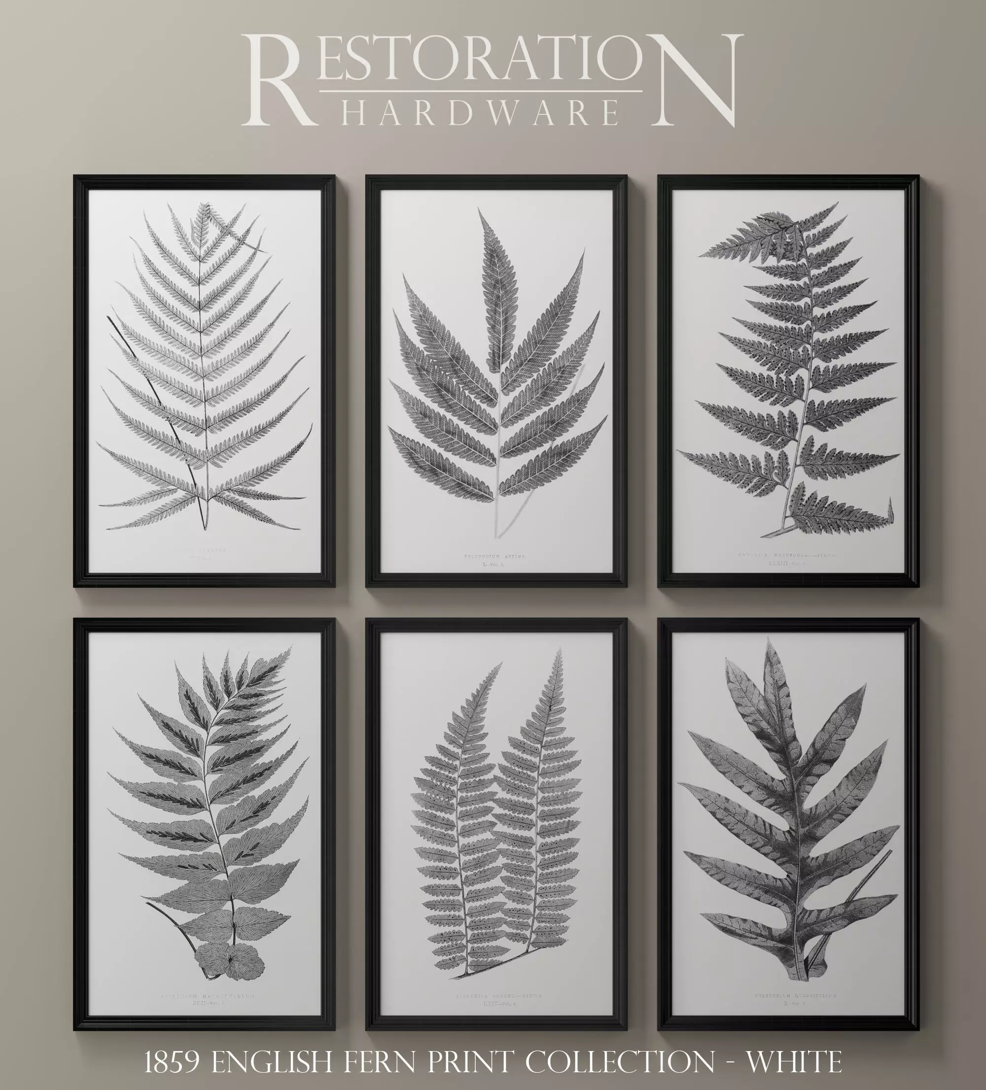Restoration Hardware posters  3D model_0