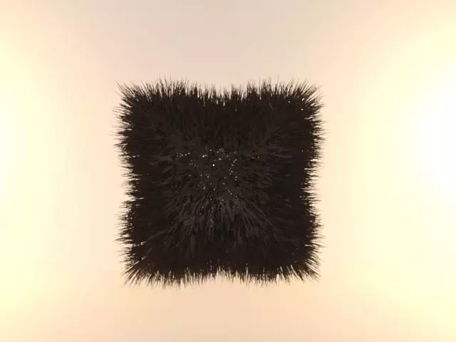 Cushion fur pillow Free 3D model_0