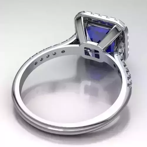 Ring model 340
