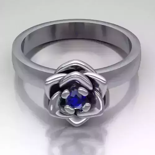 Ring model 347