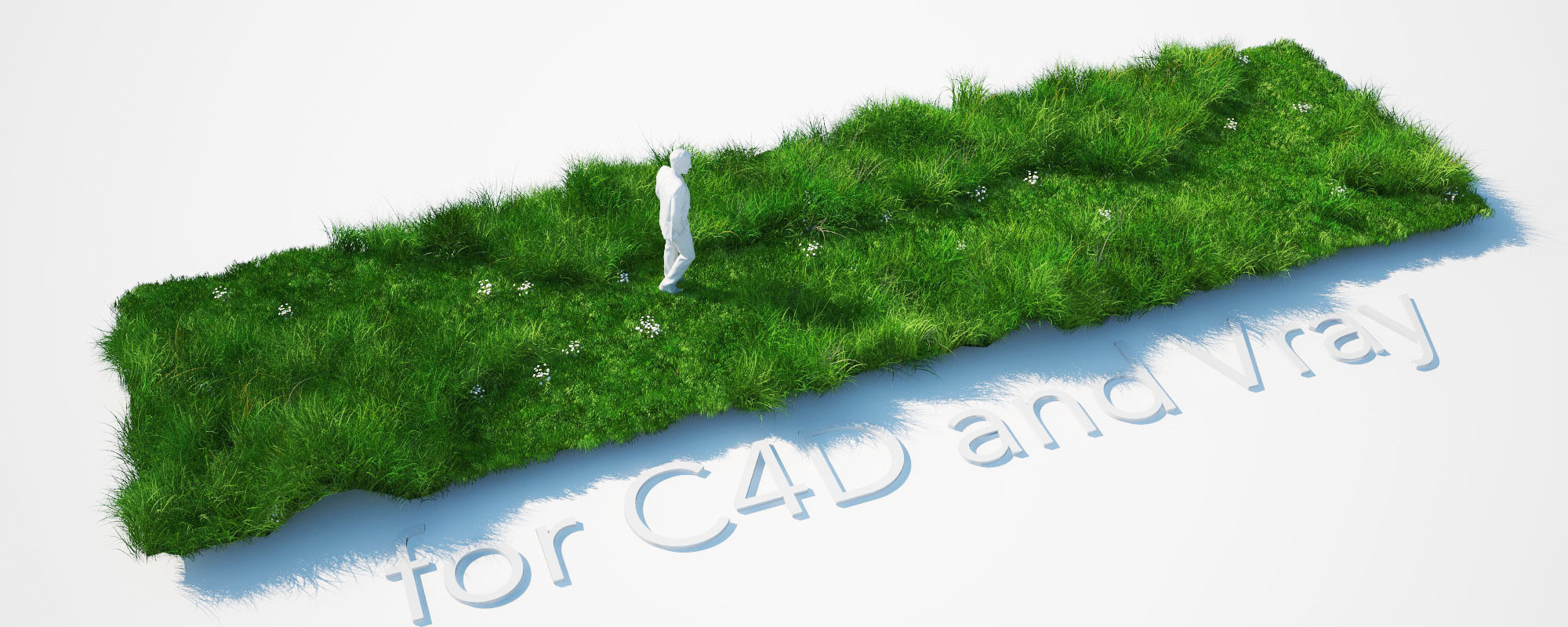 Grass Kit III for C4D and Vray 3 3D model_6