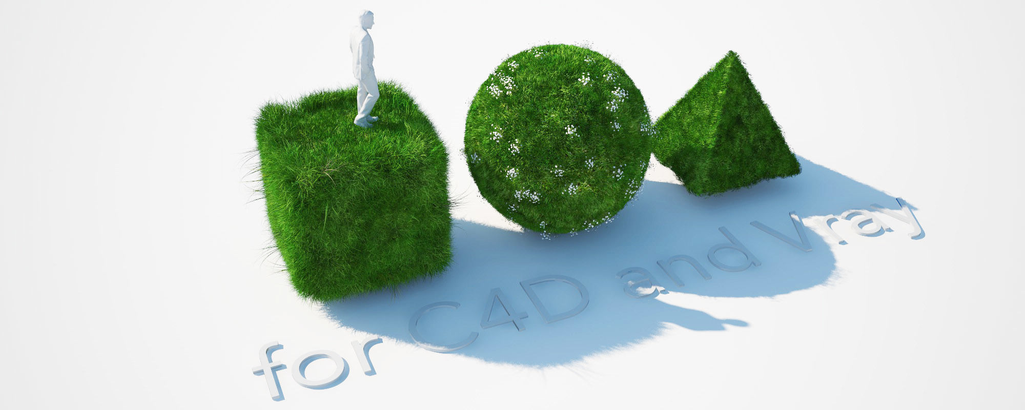 Grass Kit III for C4D and Vray 3 3D model_3