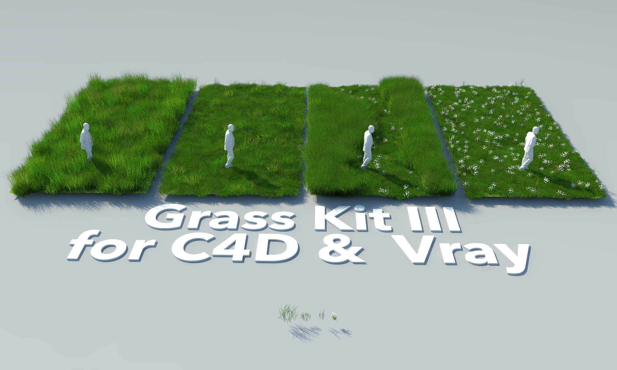 Grass Kit III for C4D and Vray 3 3D model_4
