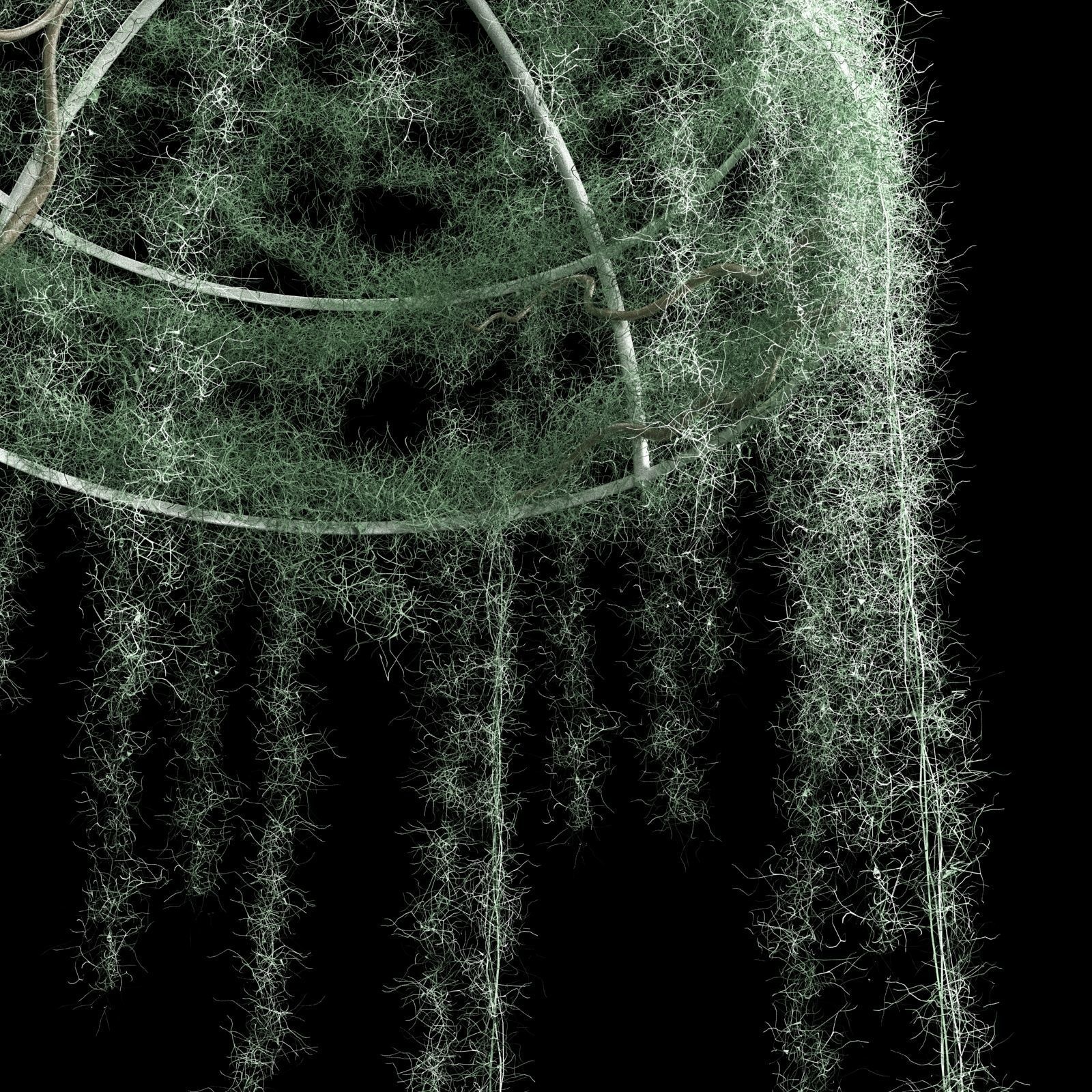 Spanish moss dome 3D model_3