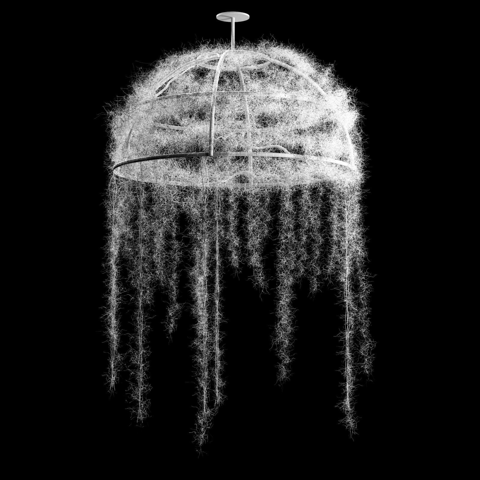 Spanish moss dome 3D model_5