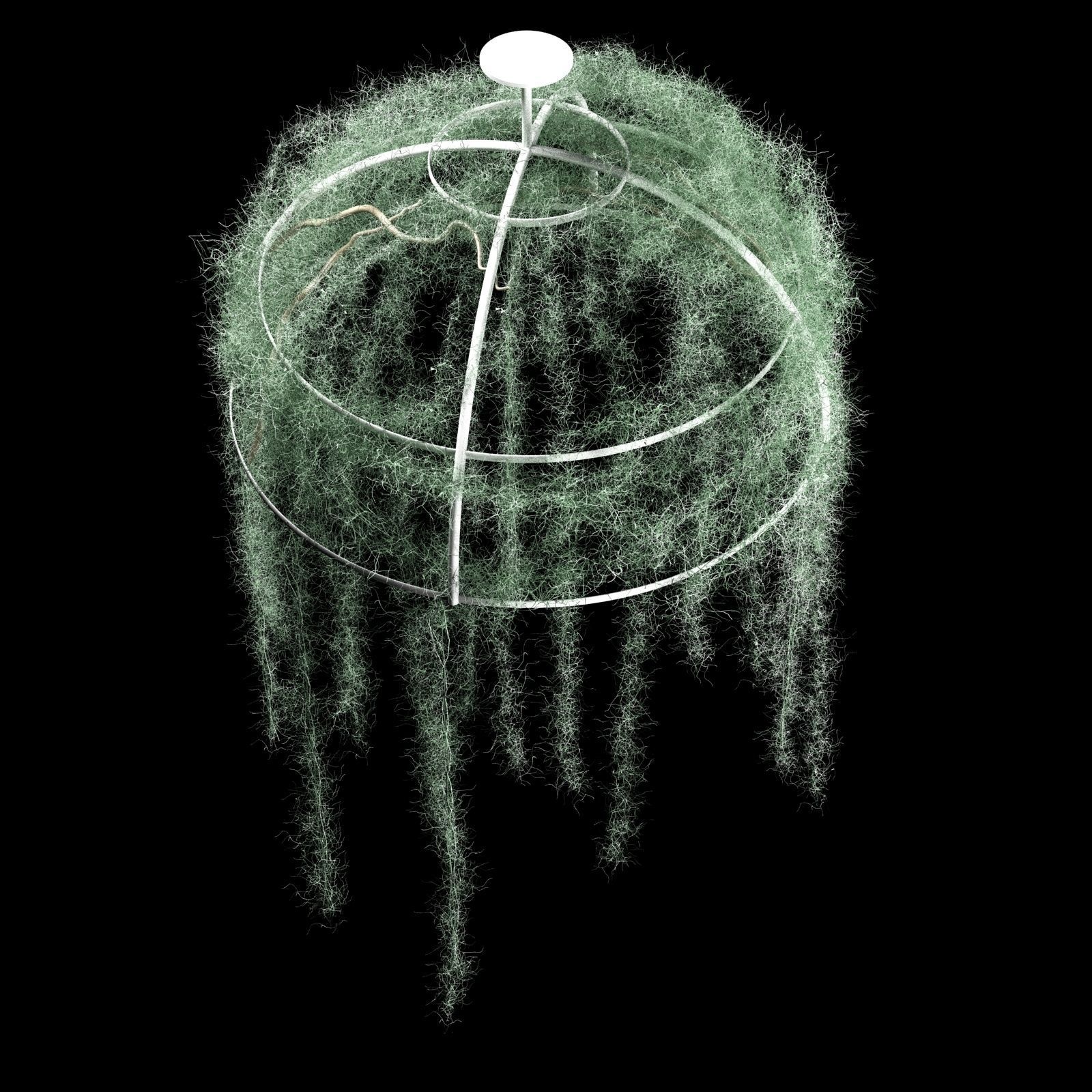Spanish moss dome 3D model_2