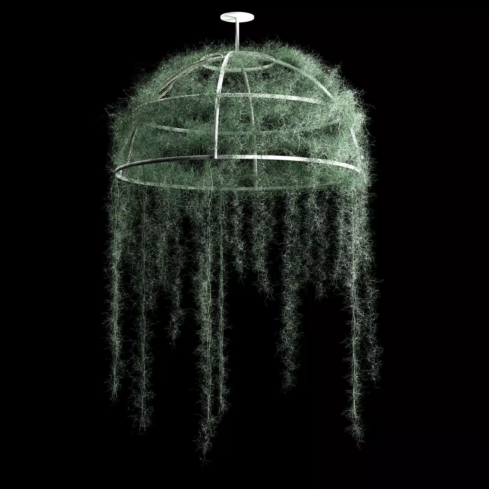 Spanish moss dome 3D model_0