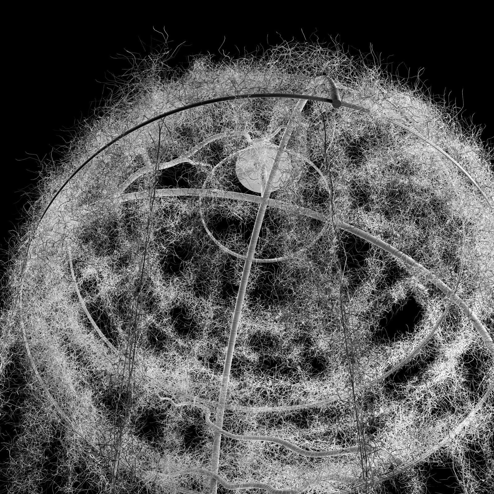 Spanish moss dome 3D model_6