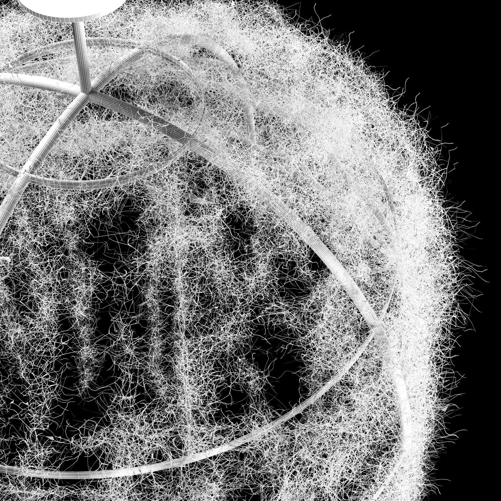 Spanish moss dome 3D model_7