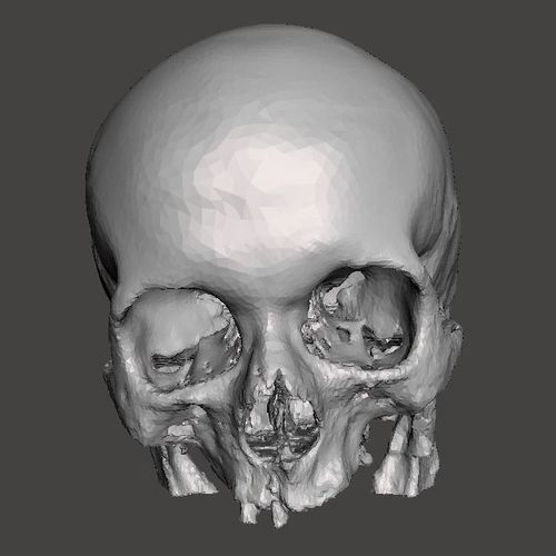 Skull female - age 80 3D model
