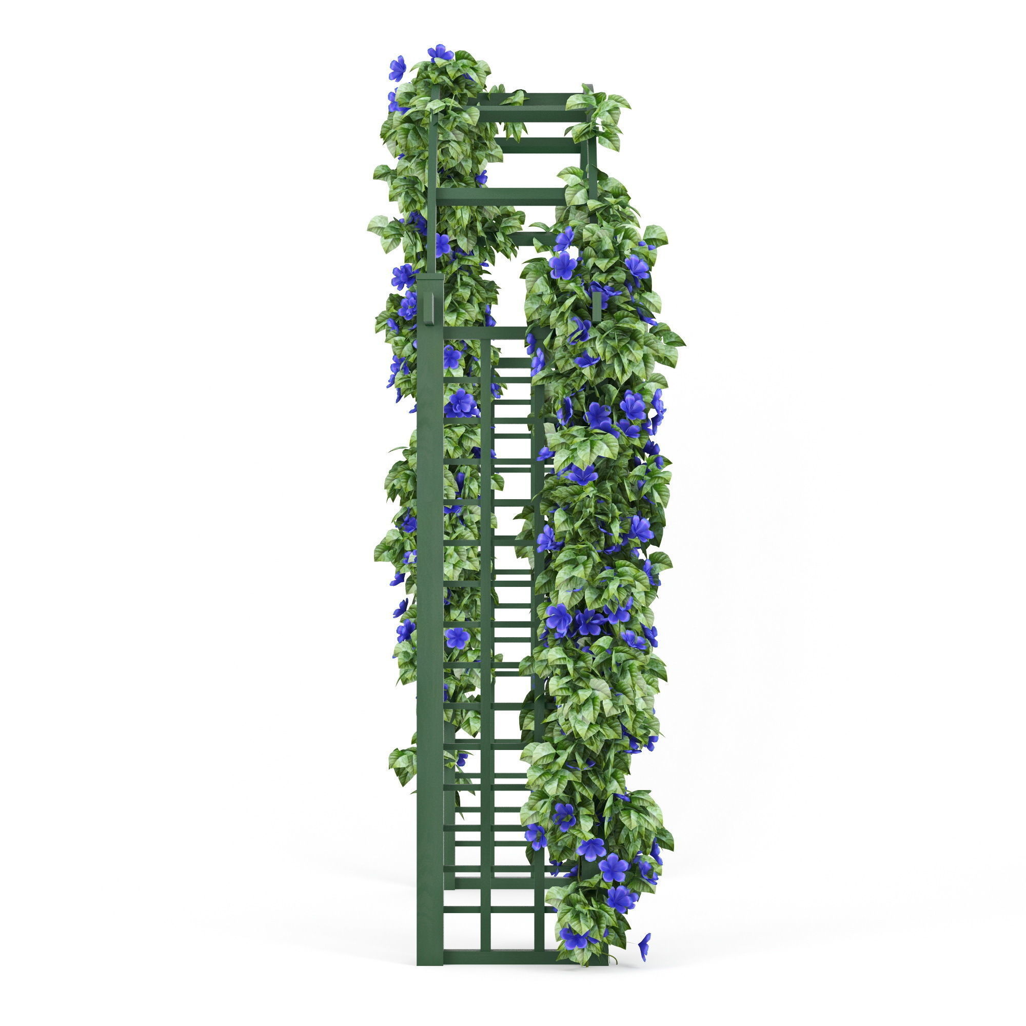 Convolvulus wedding arch with flowers 3D model_4