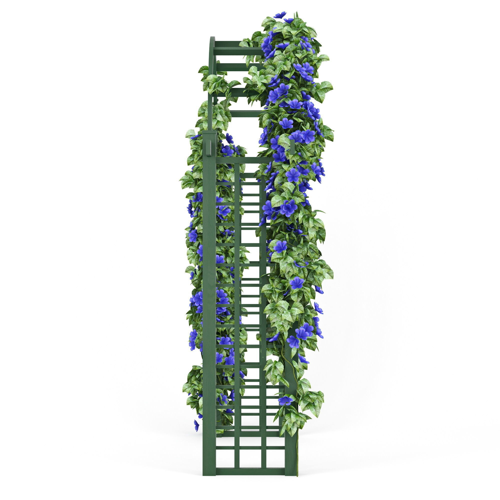 Convolvulus wedding arch with flowers 3D model_3