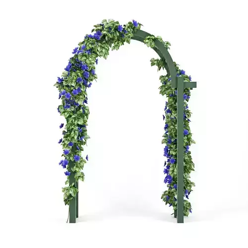 Convolvulus wedding arch with flowers