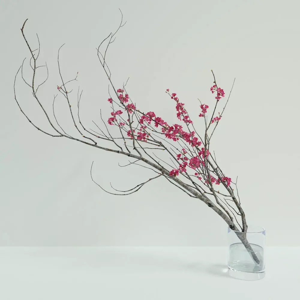 Decorative branch with flowers of sakura 3D model_0