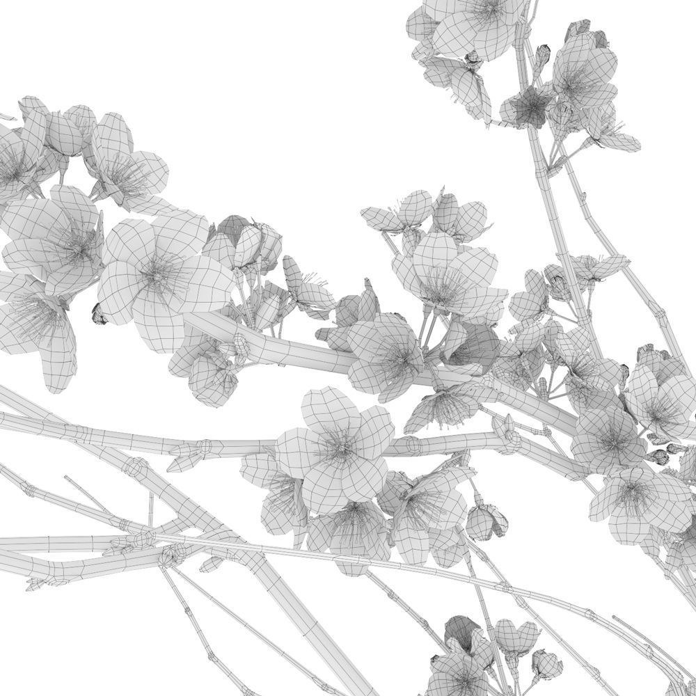 Decorative branch with flowers of sakura 3D model_5