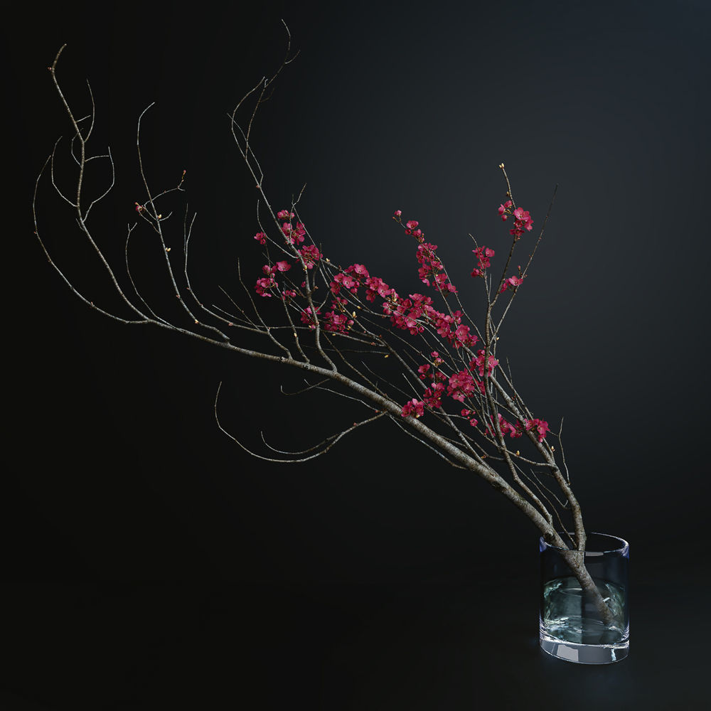 Decorative branch with flowers of sakura 3D model_1