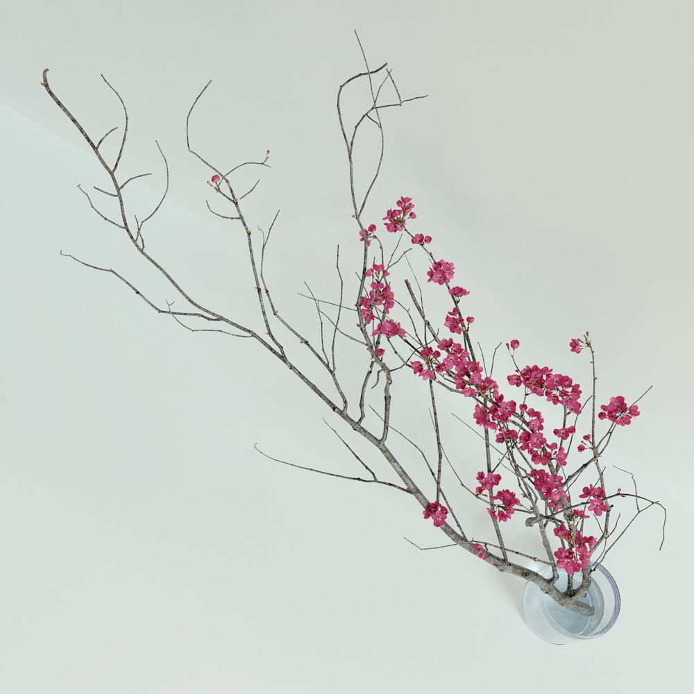 Decorative branch with flowers of sakura 3D model_6