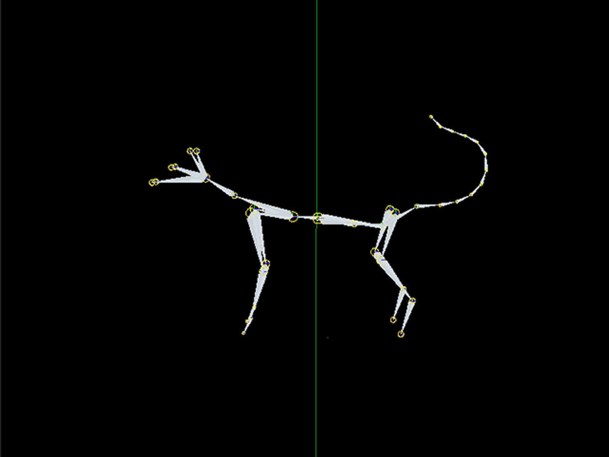 Abyssinian Cat Full Rigged Low-poly 3D model_5