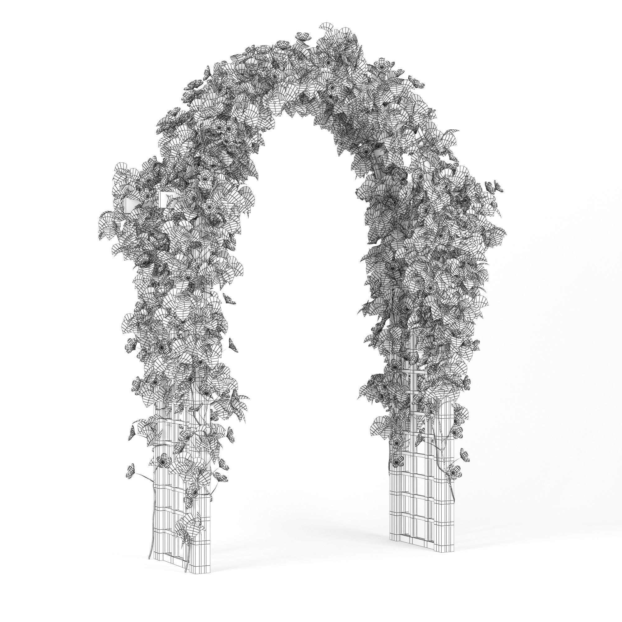 Convolvulus flowers 3D model_7