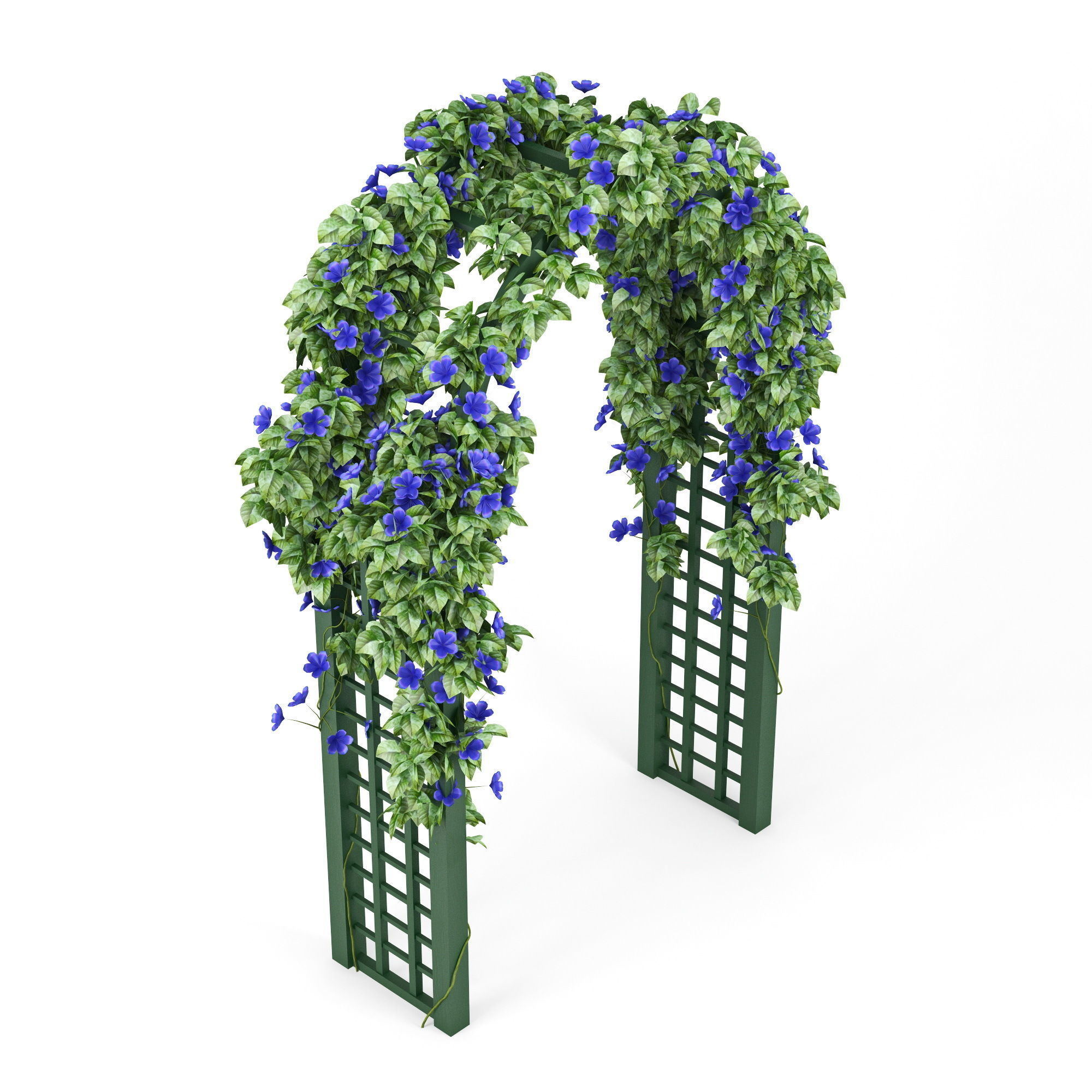 Convolvulus set ivy arch 3D model_3