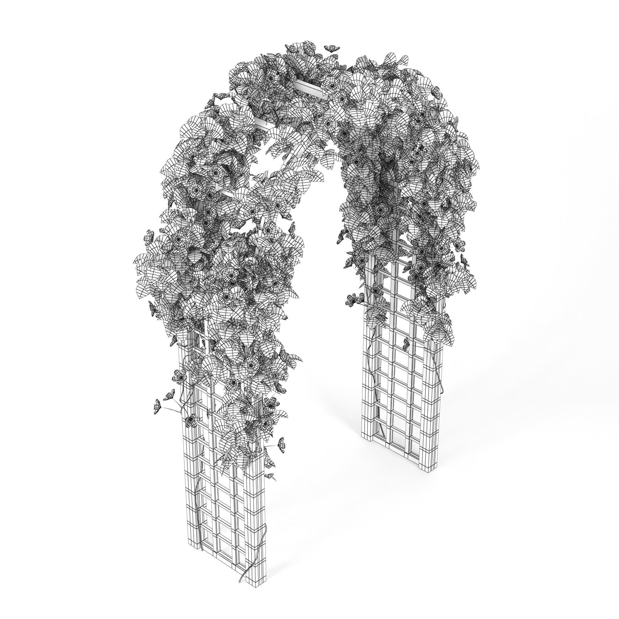 Convolvulus set ivy arch 3D model_4