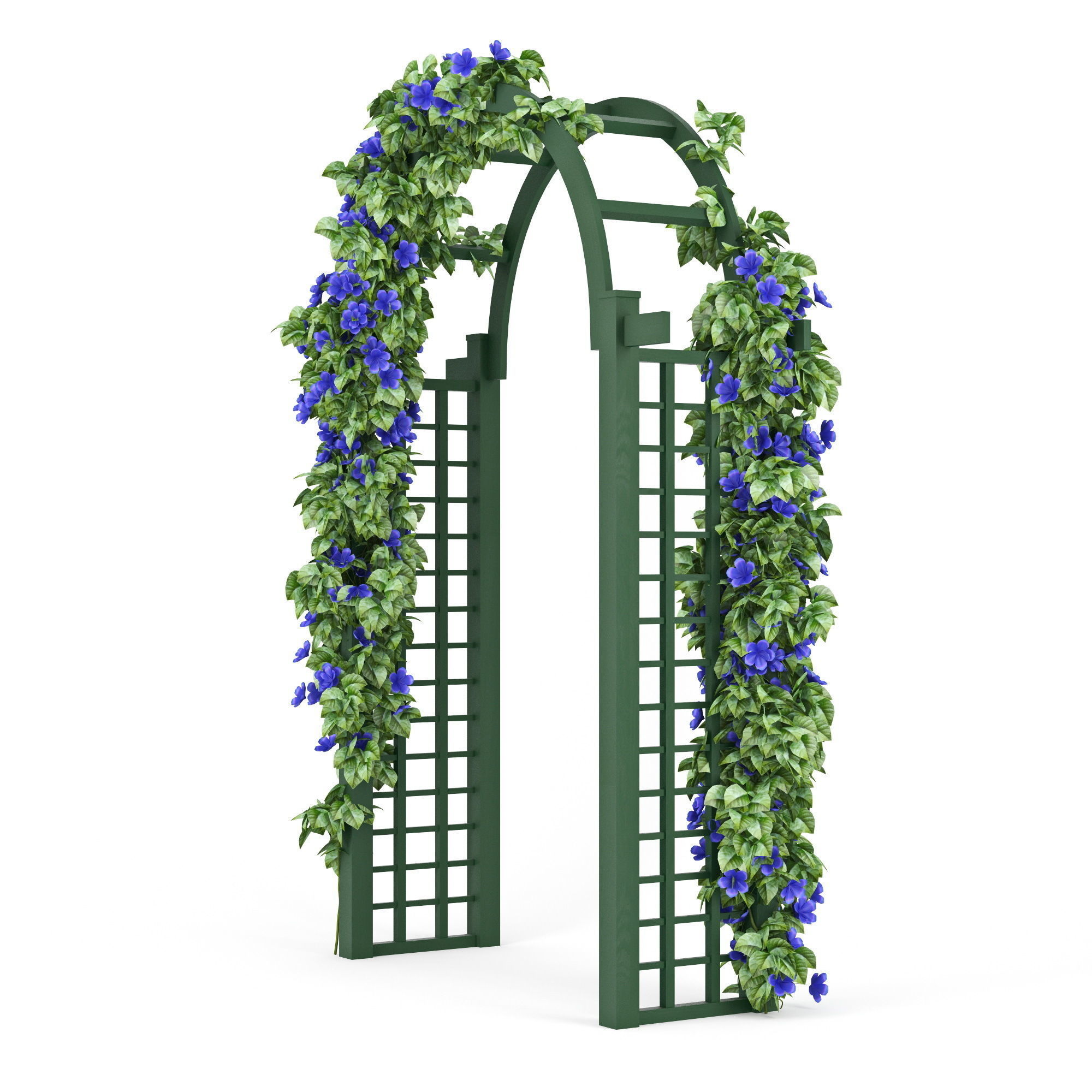 Convolvulus set ivy arch 3D model_1